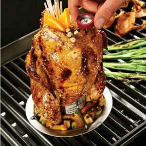 Broil King Chicken Roaster with roast chicken in BBQ