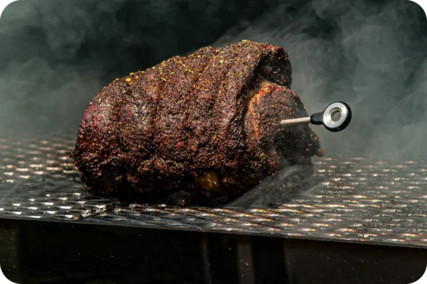 Fireboard Pulse pbpwp 2 Fireboard Pulse pbpwp 2